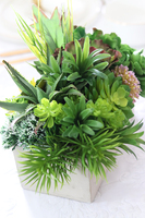 Modern, kompozycja sukulenty w betonowym naczyniu, wym.24x20x28cm