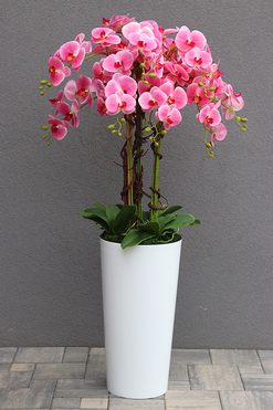 bardzo duży gumowy storczyk w białej donicy, Mediolan Pink, wys.130cm