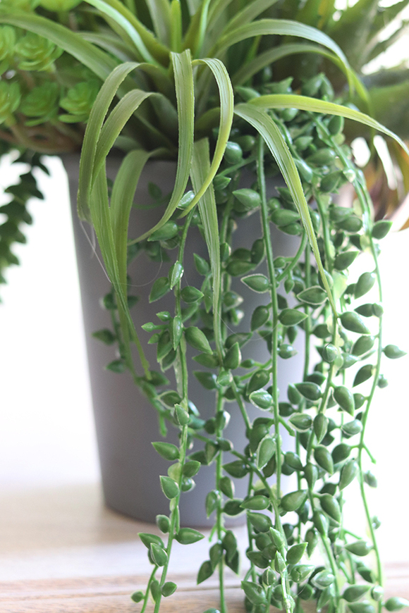 Grey New 2, kompozycja sukulenty w szarym naczyniu, wys.40cm