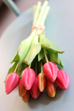 bukiet tulipanów silikonowych, Genotte Pink, 9szt., dł.29cm