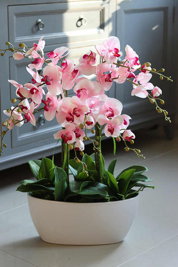 Derano Pink, różowy storczyk w białej donicy, wys.69cm 