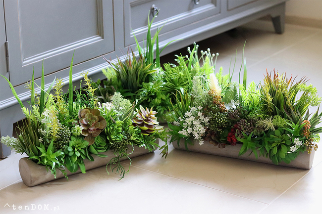 kompozycja sukulenty w długiej donicy, Hektor C, dł.48cm