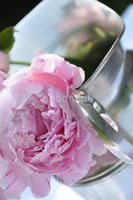 dzban cynowy Pivonia