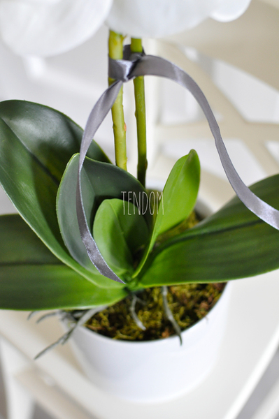 storczyk Marrakesz w ceramicznej, białej donicy wys.54cm