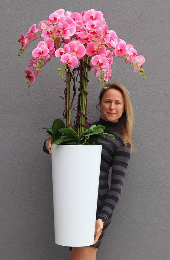 bardzo duży gumowy storczyk w białej donicy, Mediolan Pink, wys.130cm