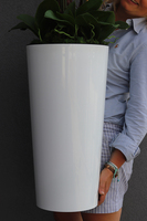 gumowy storczyk w białej donicy, Mediolan Finestra Granada, wys. 124cm