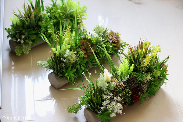 kompozycja sukulenty w długiej donicy, Hektor C, dł.48cm 