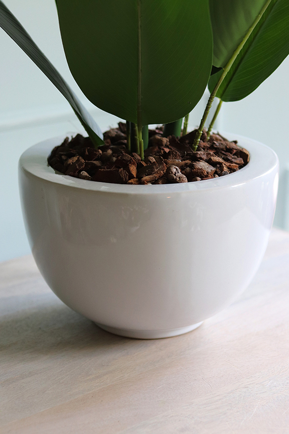 egzotyczna kompozycja w białej donicy, Strelicja Double, wys.110cm