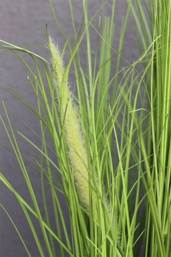 Greta Summer, kompozycja z traw w białej donicy z kłosami, wys.86cm 