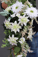 biała kompozycja kwiatowa w drewnie, Kenna, dł.85cm