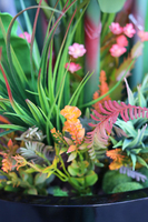 egzotyczna kompozycja, Strelicja Fiberglass Grande, wym.165cm 