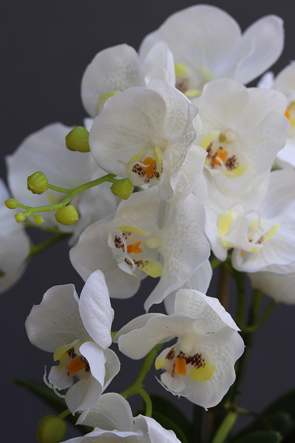 Glamour Ecru Mini, gumowy sztuczny storczyk, wys.48cm