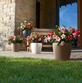 Classico, elegancka donica z nawadnianiem, szara, wym.40x43cm