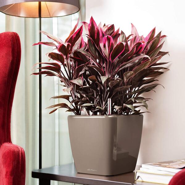 Quadro, elegancka donica z nawadnianiem, taupe, wym.20x21cm