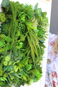 atrakcyjna jednostronna rama Hotels Sukulenty 1, wym.77x57cm 