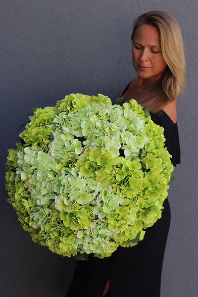 bogaty kosz z hortensjami, Provance Pistacio Light, wys.47cm   