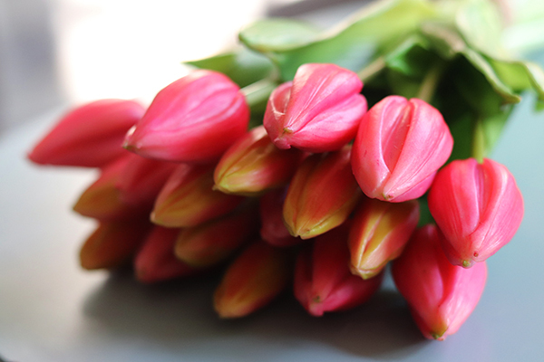 bukiet tulipanów silikonowych, Genotte Pink, 9szt., dł.29cm