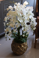 GoldenRose, stylowy storczyk w złotym naczyniu, wys.92cm