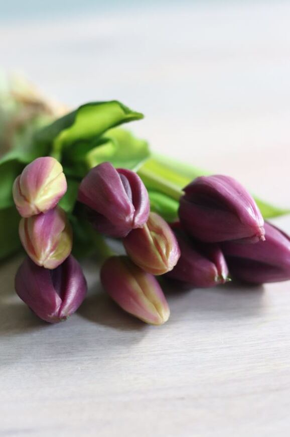 bukiet tulipanów silikonowych, Genotte Purple, 9szt., dł.29cm 