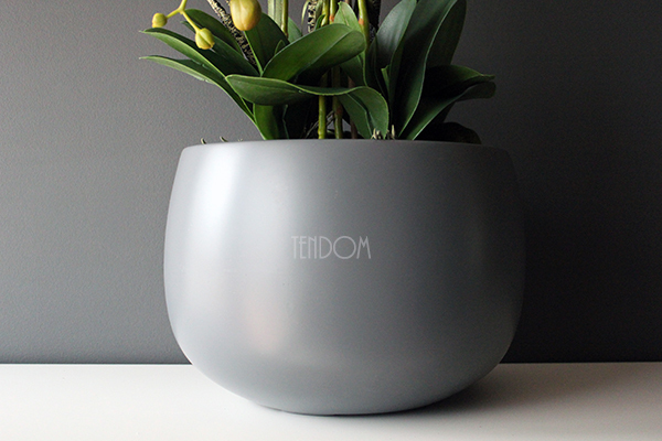 efektowny storczyk Fiberglass Grande Grey Matt w szarej matowej donicy, wys.85cm