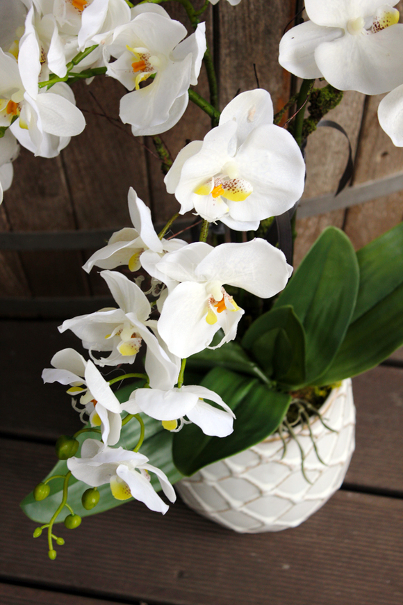 storczyk w przepięknej donicy Tilda White, większa donica, wys.65cm 