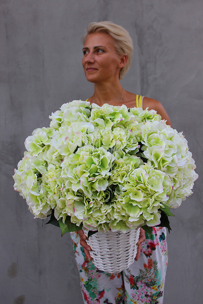 kosz Love Provance z pistacjowymi hortensjami wys.55cm