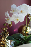 biały sztuczny storczyk, Polly Mini, wys.43cm 