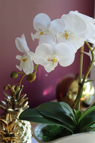 biały sztuczny storczyk, Polly Mini, wys.43cm 