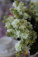 Wiosna w Mieście, wiosenny bukiet bzów w kryształowym wazonie, wym.50x40cm