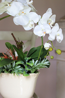 sztuczny storczyk Alina w kolorze naturalnej bieli, wys.55cm