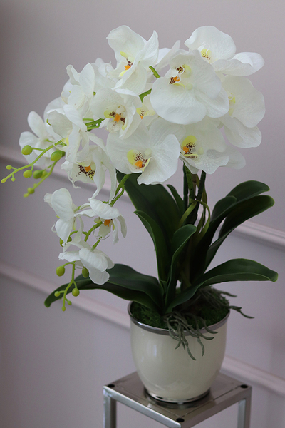 Glamour Ecru Mini, gumowy sztuczny storczyk, wys.48cm