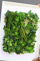 atrakcyjna jednostronna rama Hotels Sukulenty 1, wym.77x57cm