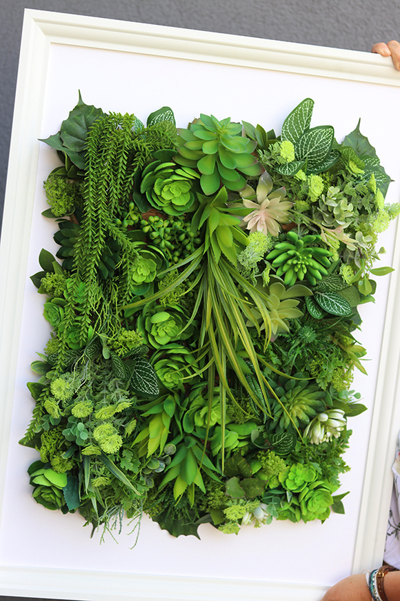 atrakcyjna jednostronna rama Hotels Sukulenty 1, wym.77x57cm