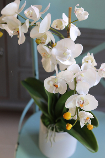 Reja, sztuczny storczyk w klasycznej białej donicy, wys.62cm