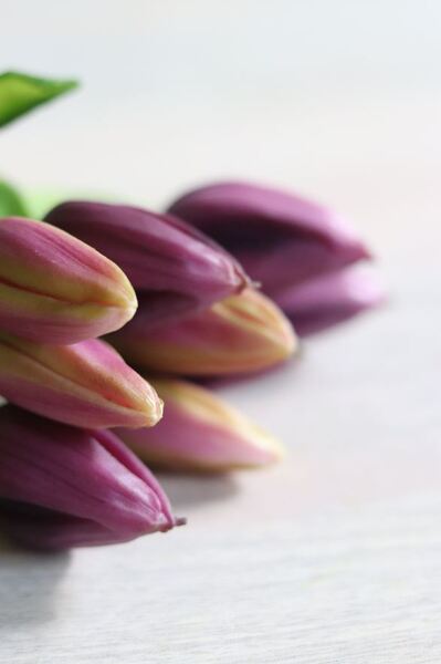 bukiet tulipanów silikonowych, Genotte Purple, 9szt., dł.29cm 