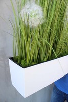 kompozycja traw w białej donicy Greta z dmuchawcami, wys.65cm 