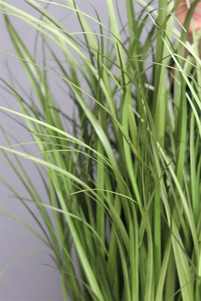 Fabio, gęsta sztuczna trawa w plastikowej osłonce wys.90cm