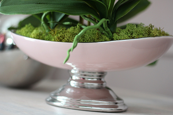 Gallena, storczyk w srebrno-różowym naczyniu glamour, wys.58cm