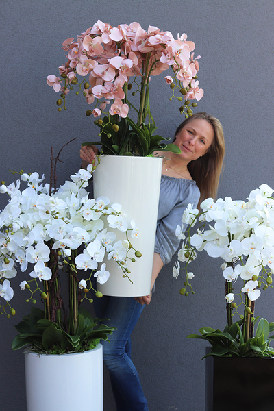Mediolan Cappucino, sztuczny storczyk w wysokiej białej donicy, wys.115cm