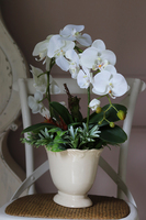 sztuczny storczyk Alina w kolorze naturalnej bieli, wys.55cm