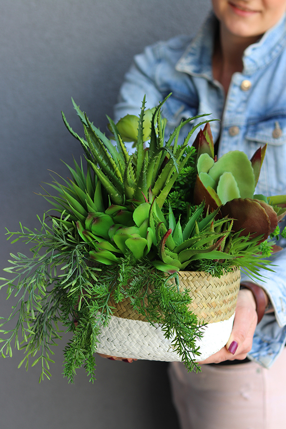 Telimena, efektowna kompozycja Sukulenty w koszu, wys.26cm