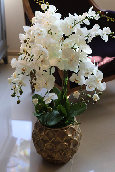 GoldenRose, stylowy storczyk w złotym naczyniu, wys.92cm