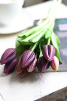 bukiet tulipanów silikonowych, Genotte Purple, 9szt., dł.29cm