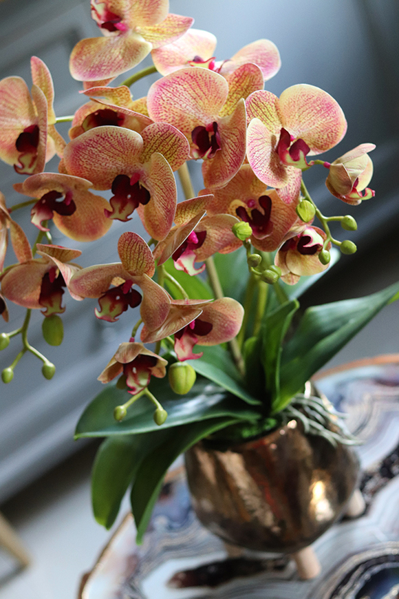 Luizjana, pięknie wybarwiony storczyk w donicy na nóżkach, wys.56cm