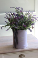 Lawendowy Velvet, welurowy flowerbox z lawendą, wys.50cm 