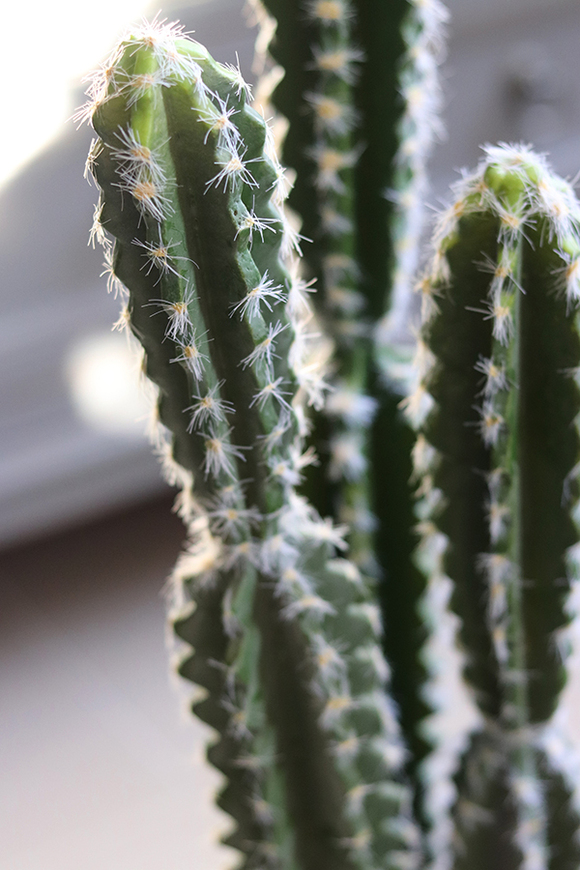 Kaktus Mexico, sztuczna roślina, wys.64cm 