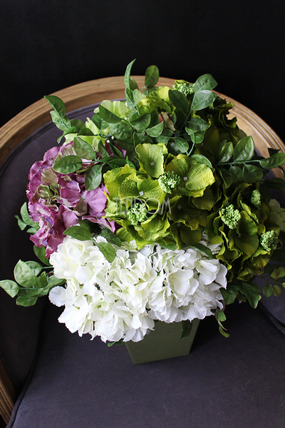 flowerbox Hortensja Premium wym. 54x40cm