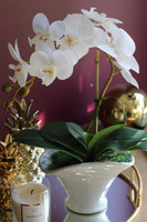biały sztuczny storczyk, Polly Mini, wys.43cm 