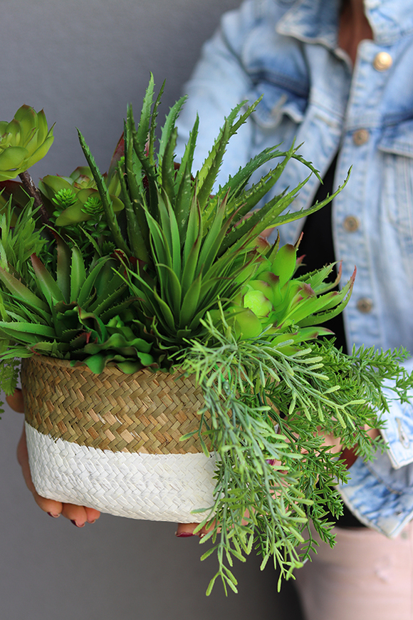 Telimena, efektowna kompozycja Sukulenty w koszu, wys.26cm