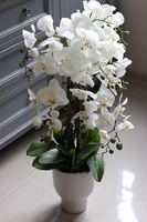 Alora Kaskada, sztuczny storczyk w białej donicy, wys.80cm 